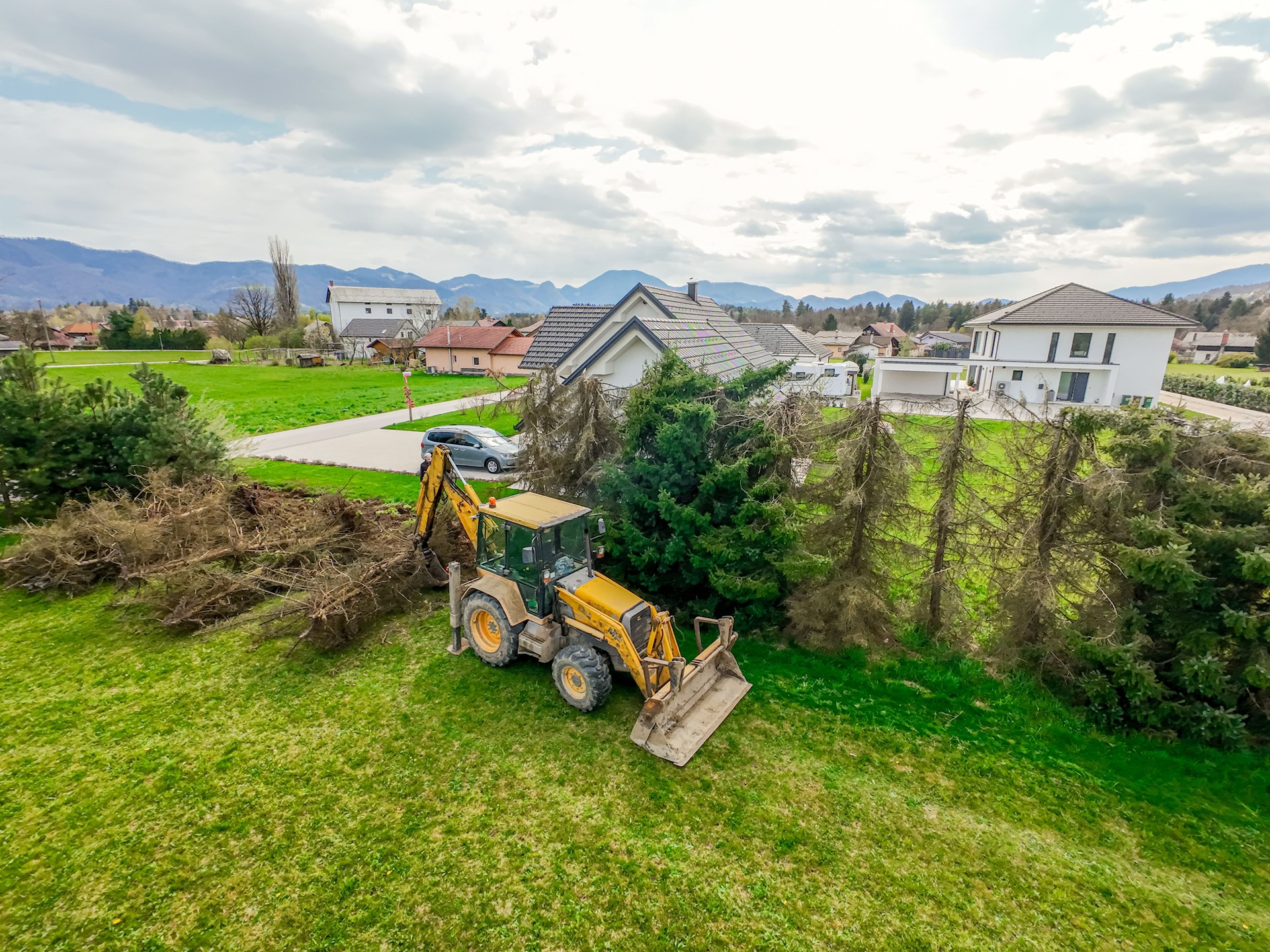 Backhoe Loader Removing Pine Trees, aerial view
